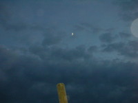 DSCN0536