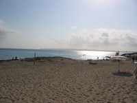  Luglio 2007 260