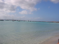  Luglio 2007 269