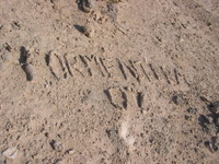  Luglio 2007 325