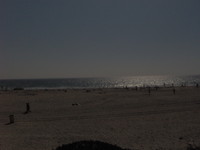 ngirola2005 (92)