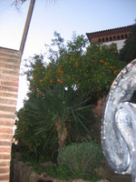 img 3554