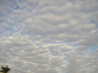 P3153002