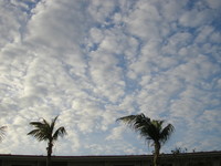 P3153005
