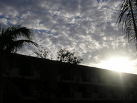P3153006