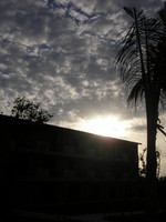 P3153007