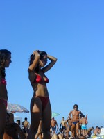 pic00033